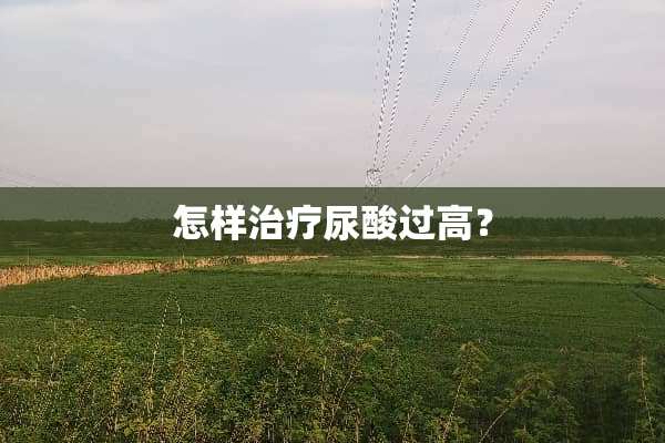 怎样治疗尿酸过高？