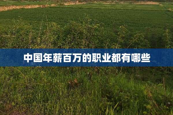 中国年薪百万的职业都有哪些