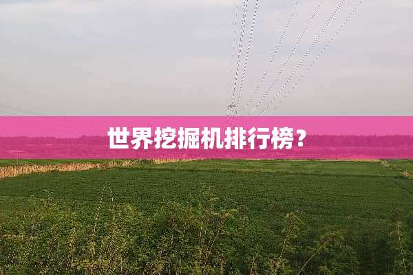 世界挖掘机排行榜？