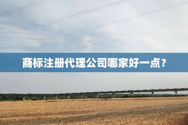 商标注册代理公司哪家好一点？