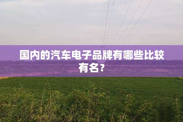 国内的汽车电子品牌有哪些比较有名？