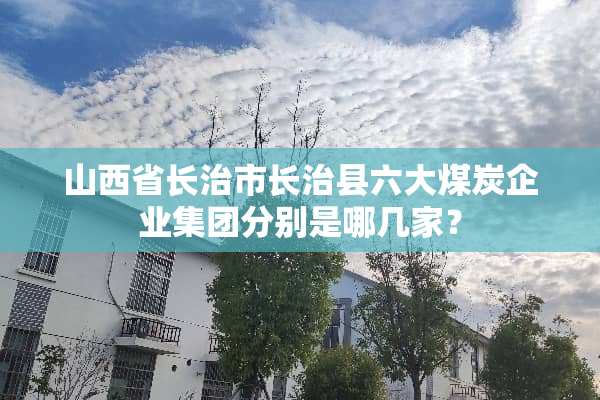 山西省长治市长治县六大煤炭企业集团分别是哪几家？