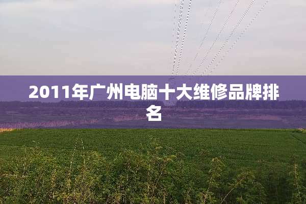 2011年广州电脑十大维修品牌排名