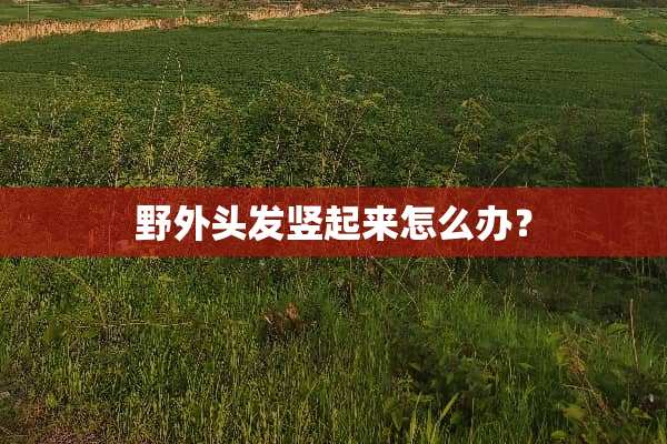 野外头发竖起来怎么办？