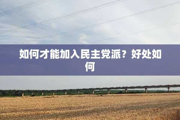 如何才能加入***派？好处如何