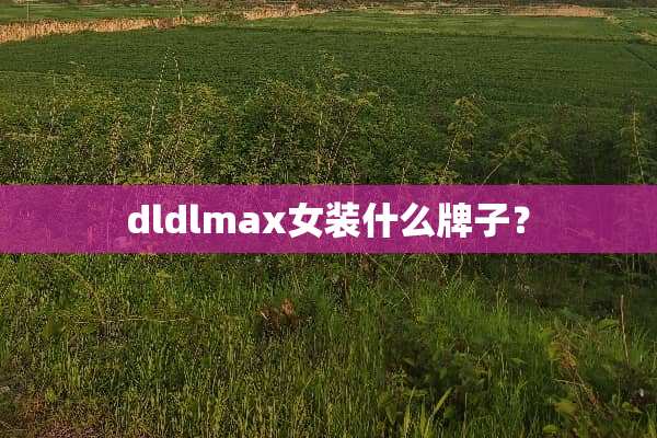 dldlmax女装什么牌子？