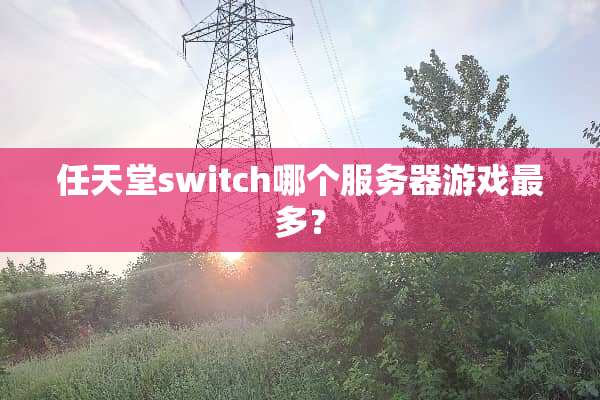 任天堂switch哪个服务器游戏最多？
