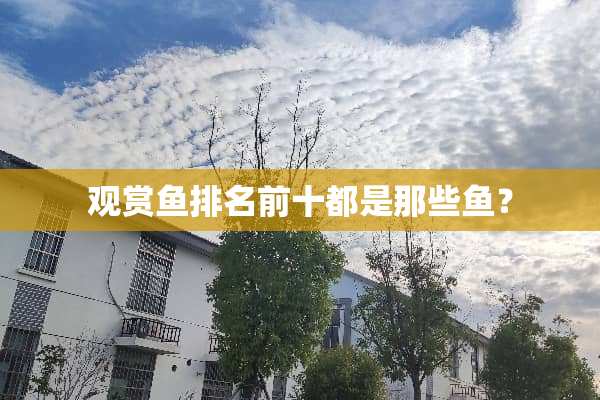 观赏鱼排名前十都是那些鱼？