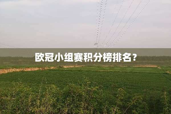 欧冠小组赛积分榜排名？