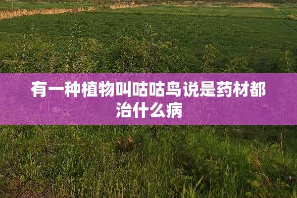 有一种植物叫咕咕鸟说是药材都治什么病
