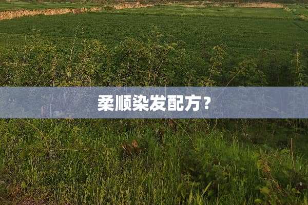 柔顺染发配方？