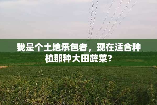 我是个土地承包者，现在适合种植那种大田蔬菜？
