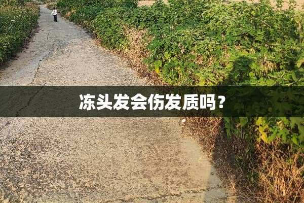 冻头发会伤发质吗？