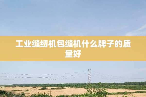 工业缝纫机包缝机什么牌子的质量好
