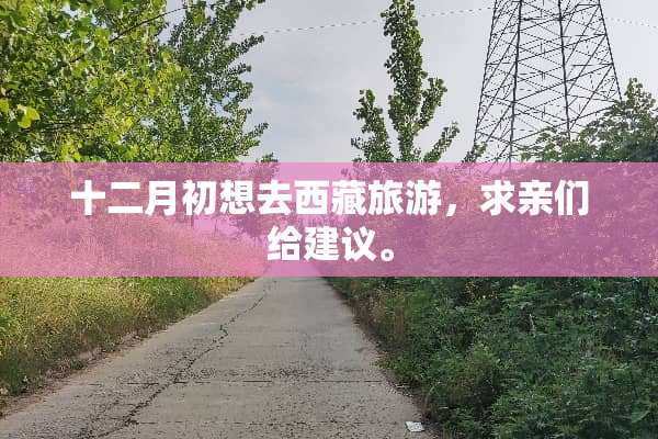十二月初想去西藏旅游，求亲们给建议。