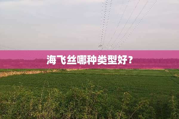 海飞丝哪种类型好？