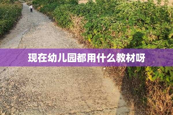 现在幼儿园都用什么教材呀
