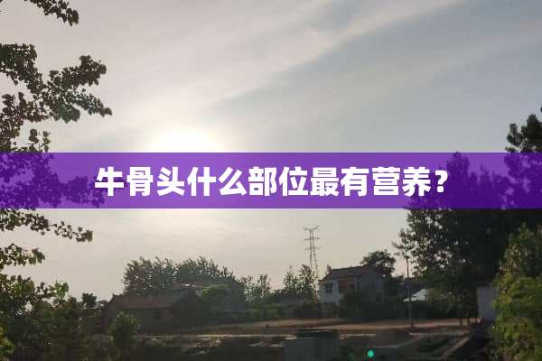 牛骨头什么部位最有营养？