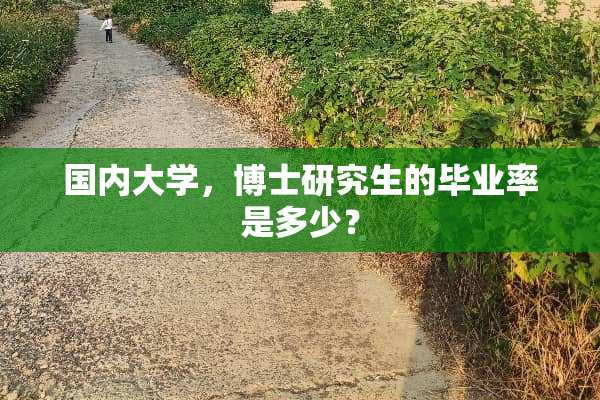 国内大学，博士研究生的毕业率是多少？