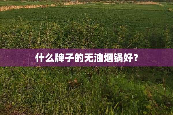 什么牌子的无油烟锅好？