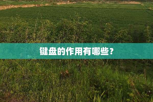 键盘的作用有哪些？