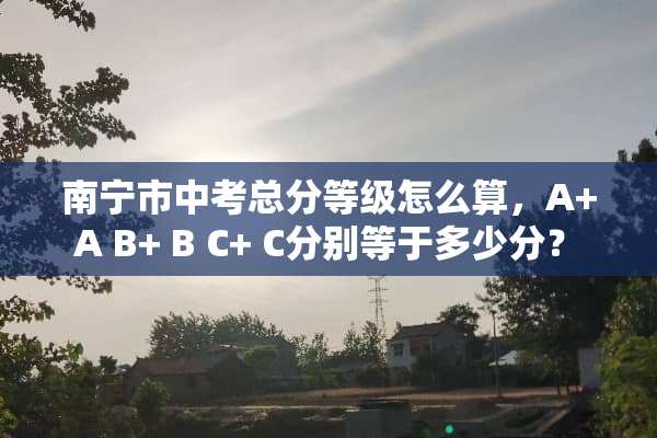 南宁市中考总分等级怎么算，A+ A B+ B C+ C分别等于多少分？ 手打加分