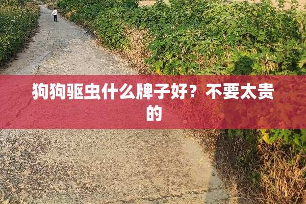 狗狗驱虫什么牌子好？不要太贵的