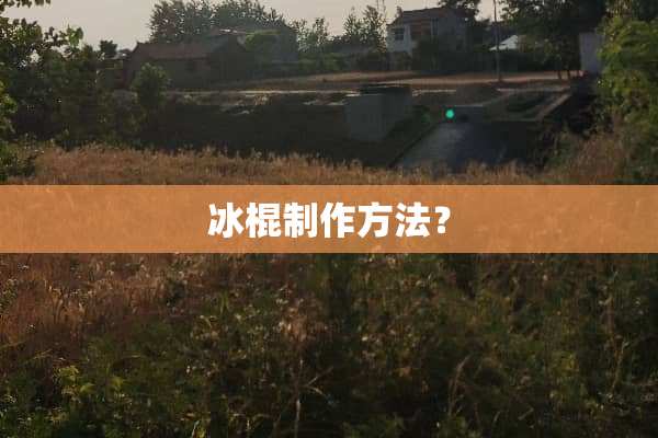 冰棍制作方法？