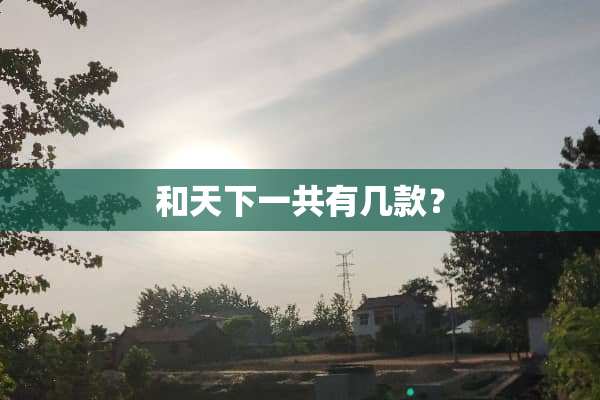 和天下一共有几款？