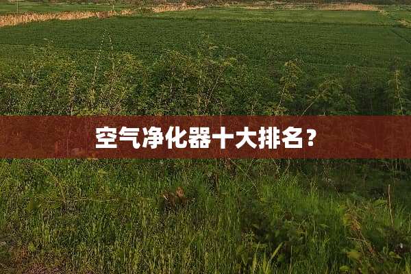 空气净化器十大排名？