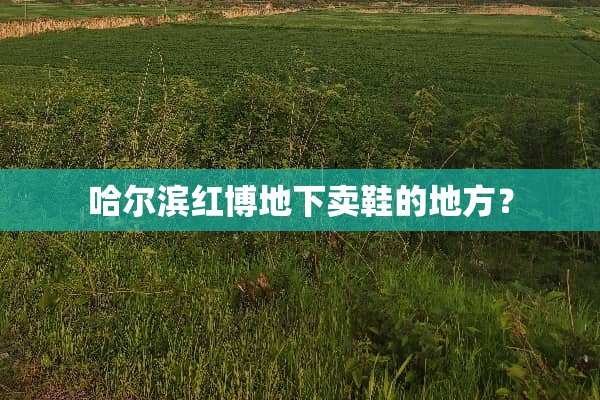 哈尔滨红博**卖鞋的地方？