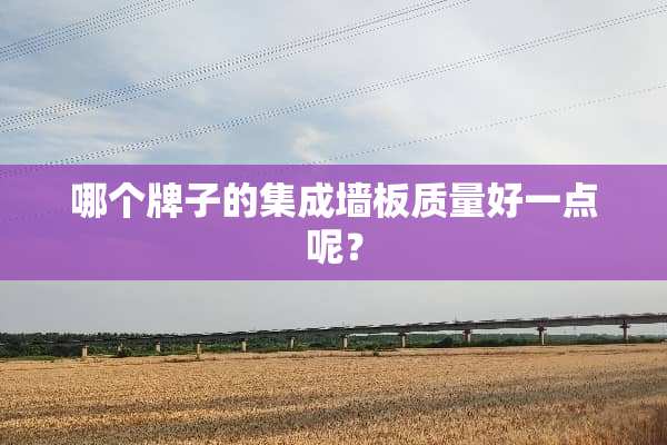 哪个牌子的集成墙板质量好一点呢？