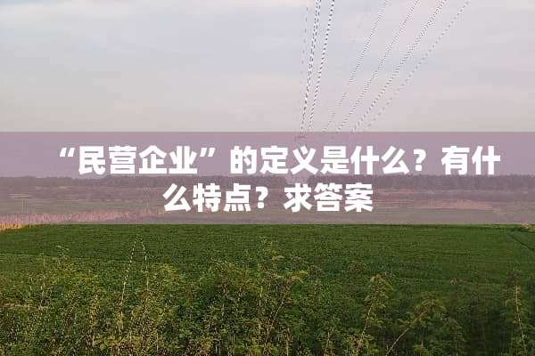 “民营企业”的定义是什么？有什么特点？求答案