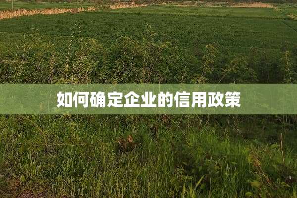 如何确定企业的信用政策