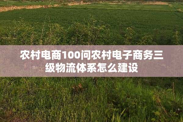 农村电商100问农村电子商务**物流体系怎么建设