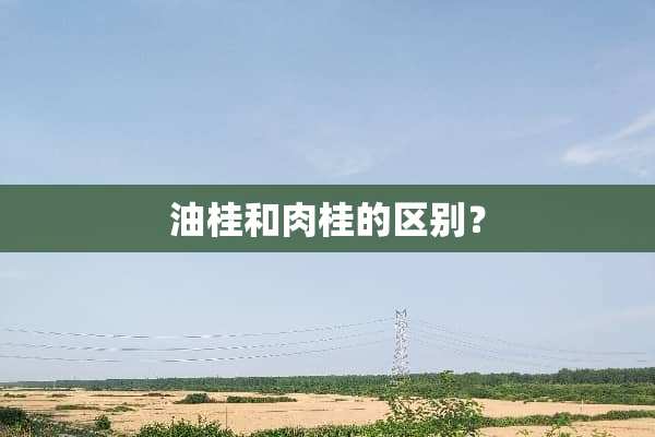 油桂和肉桂的区别？