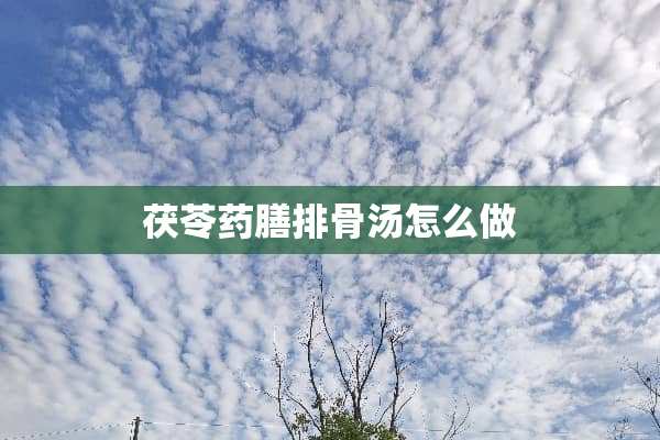 茯苓药膳排骨汤怎么做