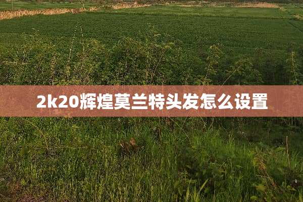 2k20辉煌莫兰特头发怎么设置