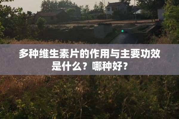 多种维生素片的作用与主要功效是什么？哪种好？