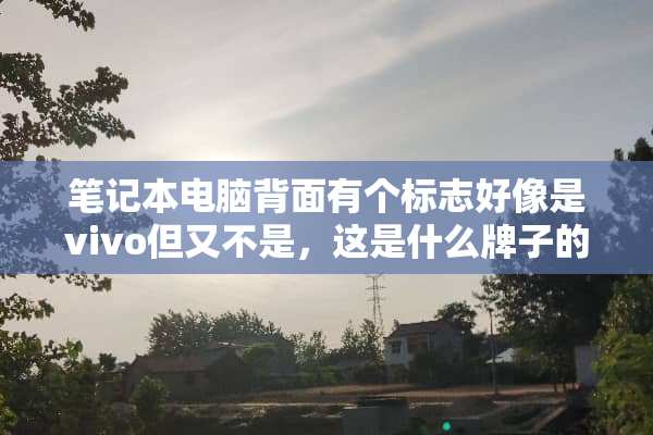 笔记本电脑背面有个标志好像是vivo但又不是，这是什么牌子的笔记本电脑？