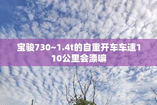 宝骏730~1.4t的自重开车车速110公里会漂嘛