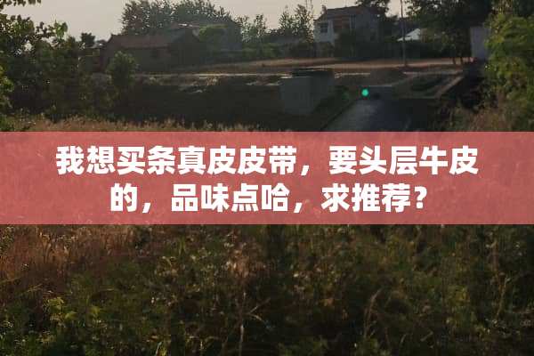 我想买条真皮皮带，要头层牛皮的，品味点哈，求推荐？