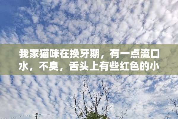 我家猫咪在换牙期，有一点流口水，不臭，舌头上有些红色的小点，是怎么回事？