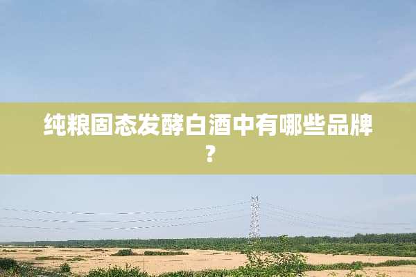 纯粮固态发酵白酒中有哪些品牌？
