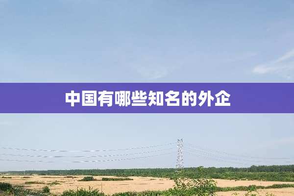 中国有哪些知名的外企