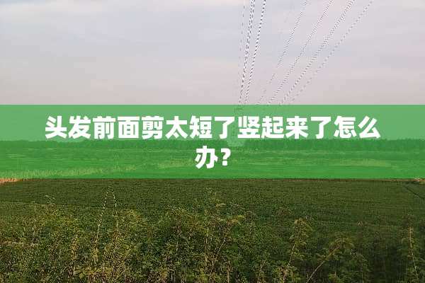 头发前面剪太短了竖起来了怎么办？