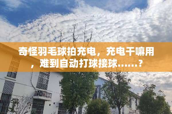 奇怪羽毛球拍充电，充电干嘛用，难到自动打球接球……？
