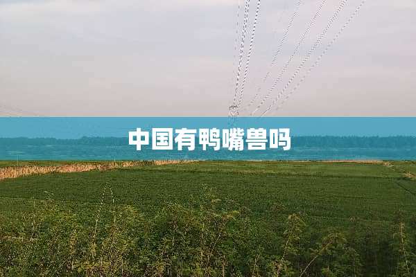 中国有鸭嘴兽吗