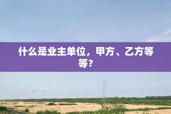 什么是业主单位，甲方、乙方等等？