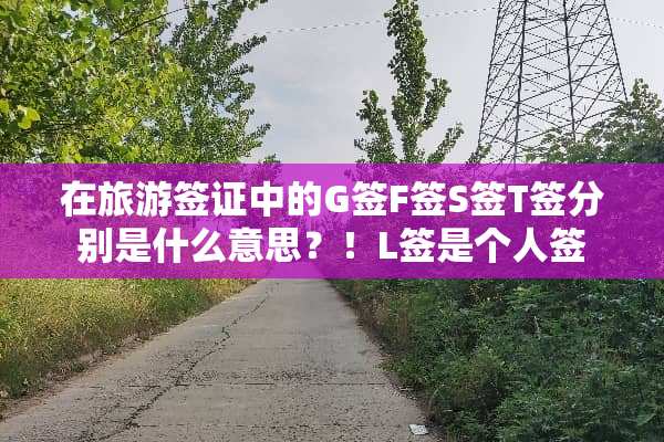 在旅游签证中的G签F签S签T签分别是什么意思？！L签是个人签